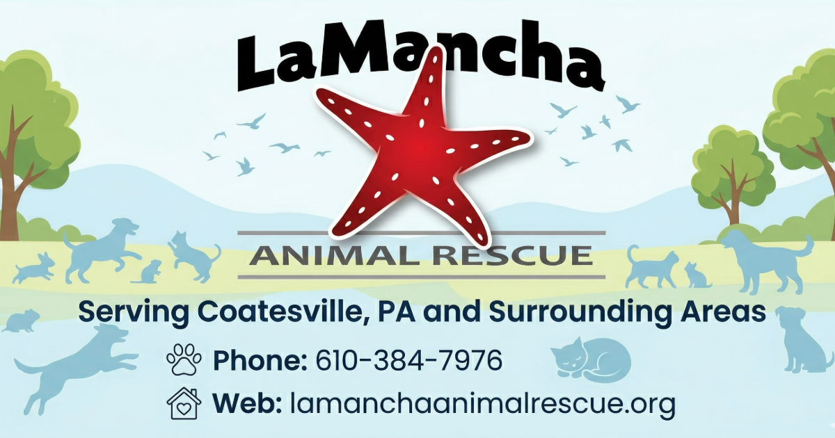 Lamancha logo